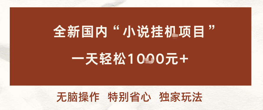 全新国内小说挂G项目，多窗口无脑跑，一天轻松1k+，特别省心【揭秘】-hcnxn