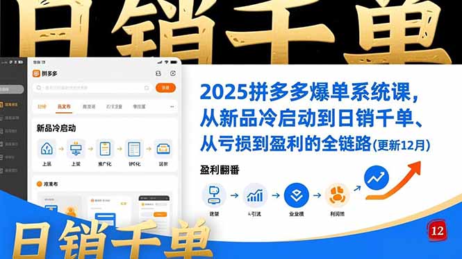 2025拼多多爆单系统课，从新品冷启动到日销千单、从亏损到盈利的全链路(更新12月-hcnxn