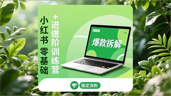 小红书零基础+高阶训练营：安全养号、爆款拆解、长效运营，实现稳定涨粉与变现-hcnxn