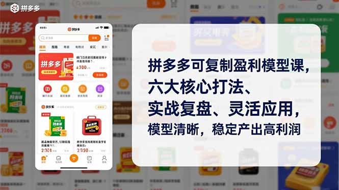 拼多多可复制盈利模型课，六大核心打法、实战复盘、灵活应用，模型清晰，稳定产出高利润-hcnxn
