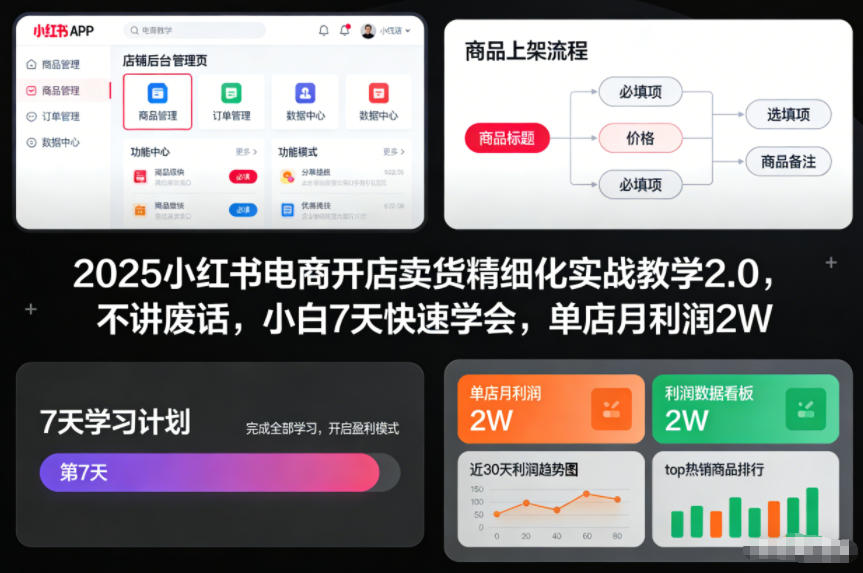 2025小红书电商开店卖货精细化实战教学2.0，不讲废话，小白7天快速学会，单店月利润2W-hcnxn