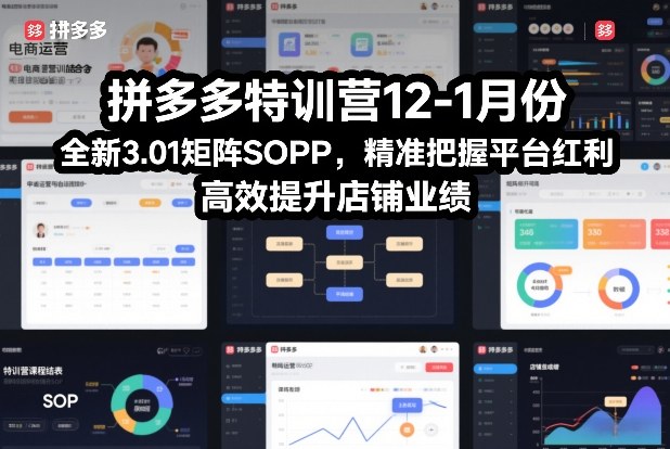 拼多多特训营12-1月份，全新3.01矩阵Sop，精准把握平台红利，高效提升店铺业绩-hcnxn