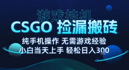 8月最新游戏搬砖，CSGO纯挂G，不需要玩游戏，实现真挂G，月入1W+【揭秘】-hcnxn