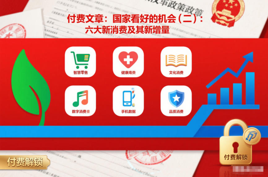 付费文章：国家看好的机会(二)：六大新消费及其新增量-hcnxn