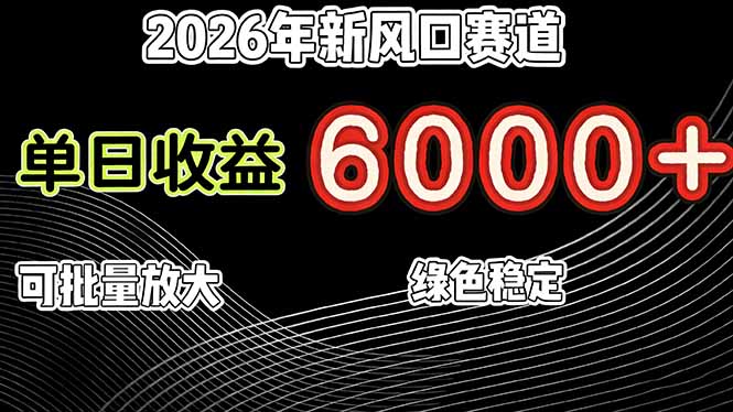 2026年新风口赛道，当日6000+以上，可批量放大，月收入20万+，长期绿色稳定的项目-hcnxn