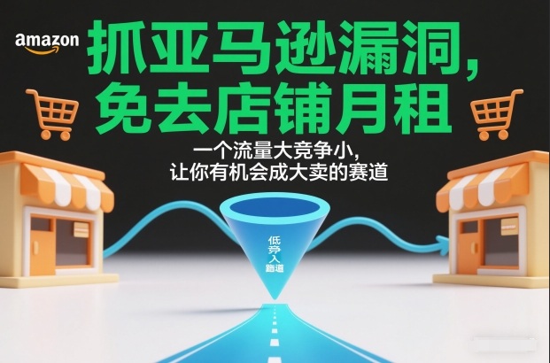 抓亚马逊漏洞，免去店铺月租，一个流量大竞争小，让你有机会成大卖的赛道-hcnxn