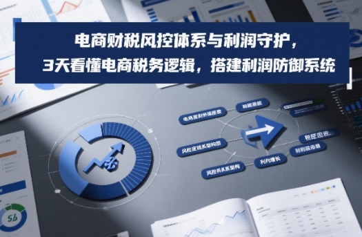 电商财税风控体系与利润守护，3天看懂电商税务逻辑，搭建利润防御系统-hcnxn