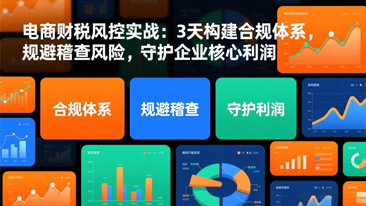 电商财税风控实战：3天构建合规体系，规避稽查风险，守护企业核心利润-hcnxn