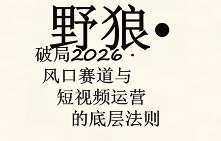 野狼团队·多平台实操运营课(更新4月)-hcnxn