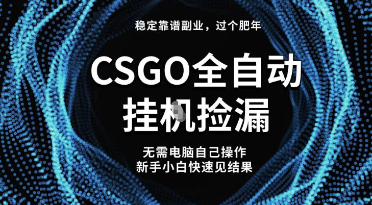 【稳定副业】全球最热门游戏CSGO全自动捡漏，最新玩法，新手小白日入5张+【揭秘】-hcnxn