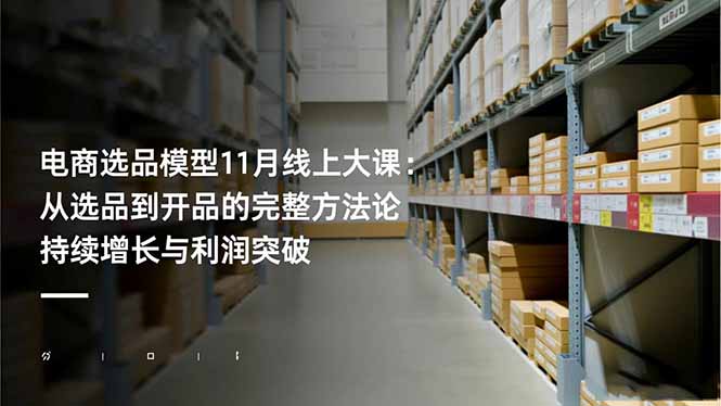 电商选品模型11月线上大课：从选品到开品的完整方法论 持续增长与利润突破-hcnxn