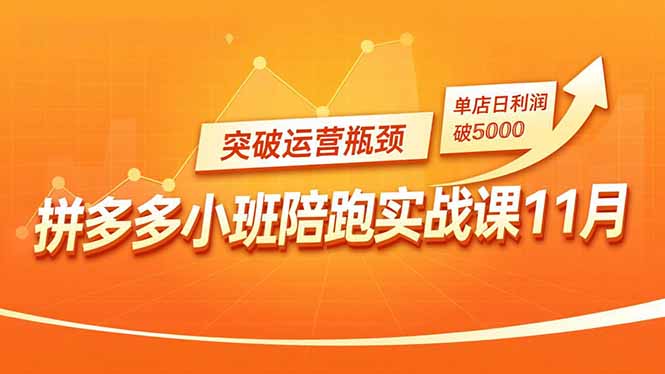 拼多多小班陪跑实战课11月，强付费矩阵、原价活动、暗券引流，突破运营瓶颈，单店日利润破5000-hcnxn