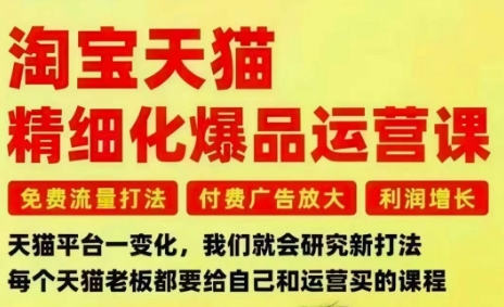 淘宝天猫精细化爆品运营课，免费流量打法-付费广告放大-利润增长-三大核心痛点，一次全部解决-hcnxn