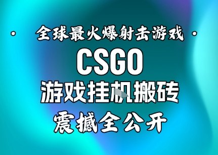 【年底大揭秘】基于全球最火爆的射击CSGO游戏挂G搬砖，日入5张+，震撼公开-hcnxn