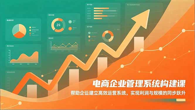 电商企业管理系统构建课：帮助企业建立高效运营系统，实现利润与规模的同步跃升-hcnxn