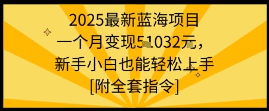2025最新蓝海项目一个月变现1w+新手小白也能轻松上手【附全套指令】-hcnxn