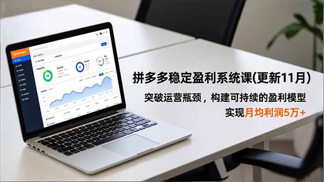 拼多多稳定盈利系统课(更新11月-hcnxn