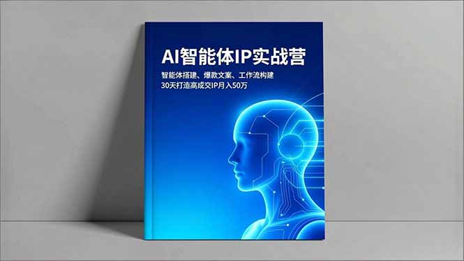 AI智能体IP实战营，智能体搭建、爆款文案、工作流构建，30天打造高成交IP月入50万-hcnxn