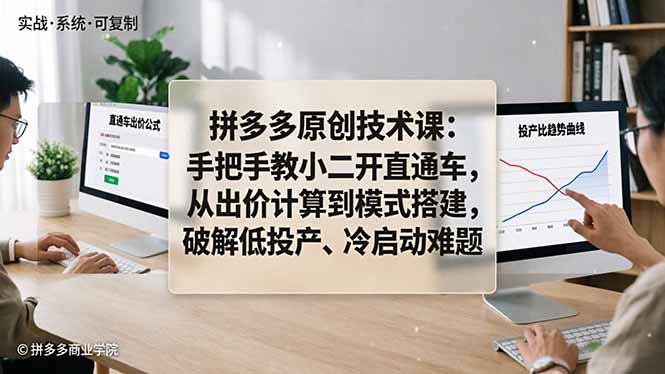拼多多原创技术课：手把手教小二开直通车，从出价计算到模式搭建，破解低投产、冷启动难题-hcnxn