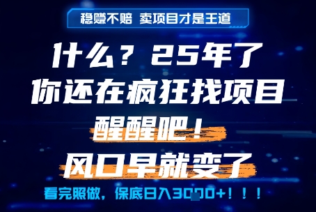 什么？25年你还在疯狂找项目做，醒醒吧，看完这些你全都懂了！【揭秘】-hcnxn
