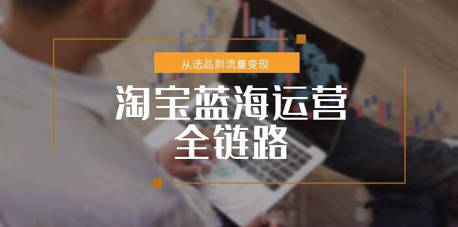 淘宝蓝海运营全链路，从选品到流量变现，小类目突围完整方案-hcnxn