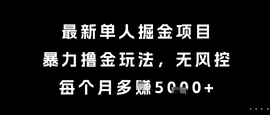 最新单人掘金项目，暴力撸金玩法，无风控，每个月多挣5k+【揭秘】-hcnxn