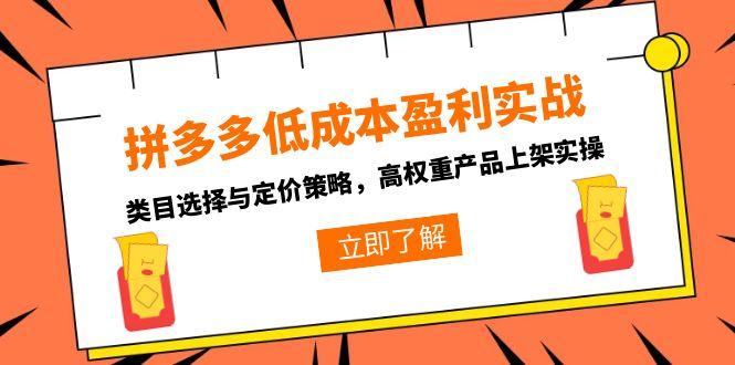 拼多多低成本盈利实战，类目选择与定价策略，高权重产品上架实操-hcnxn