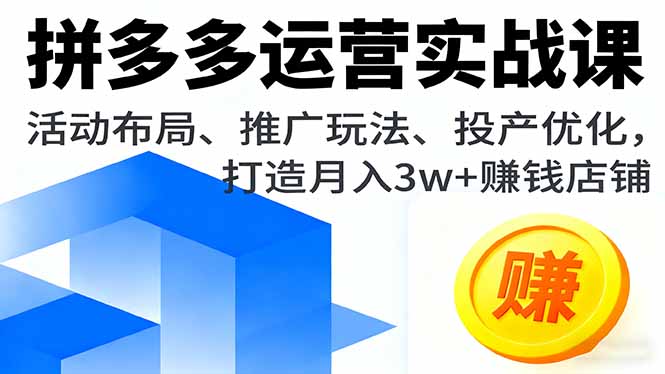 拼多多运营实战课，活动布局、推广玩法、投产优化，打造月入3w+赚钱店铺-hcnxn