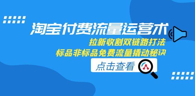 淘宝付费流量运营术，拉新收割双链路打法，标品非标品免费流量撬动秘诀-hcnxn