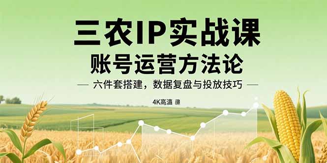 三农IP实战课：账号运营方法论，六件套搭建，数据复盘与投放技巧-hcnxn