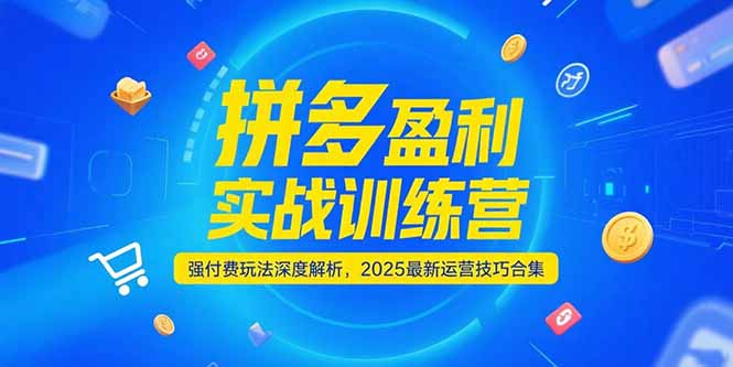 拼多多盈利实战训练营，强付费玩法深度解析，2025运营技巧合集-更新6月-hcnxn