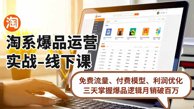 淘系爆品运营实战-线下课，免费流量、付费模型、利润优化，三天掌握爆品逻辑月销破百万-hcnxn