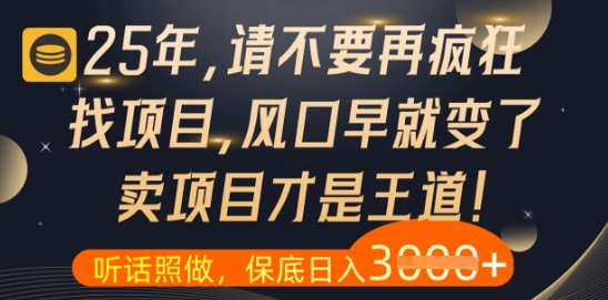 什么？25年你还在疯狂找项目做，醒醒吧，看完这些你全都懂了【揭秘】-hcnxn