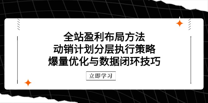 全站盈利布局方法：动销计划分层执行策略，爆量优化与数据闭环技巧-hcnxn