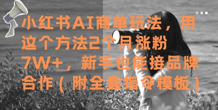 小红书AI商单玩法，用这个方法2个月涨粉7W+，新手也能接品牌合作(附全套指令模板)-hcnxn