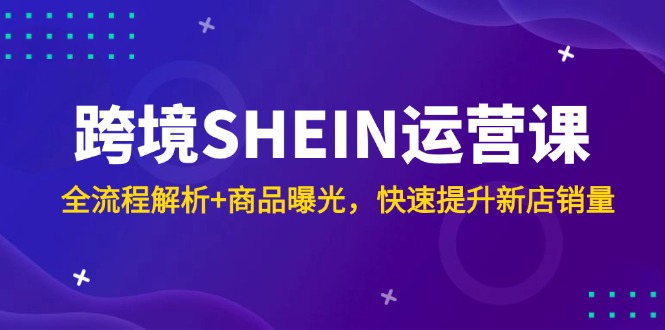 跨境SHEIN运营课，全流程解析+商品曝光，快速提升新店销量-hcnxn
