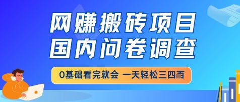 网创搬砖项目，国内问卷调查，小白轻松上手，一天三四张的也不难，干就完了【揭秘】-hcnxn