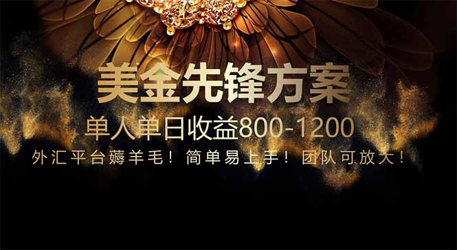 免费技术！小众赛道！一年布局抵三年努力，每日800+-hcnxn