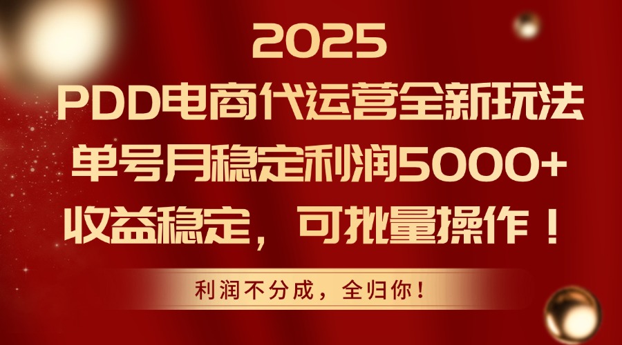 2025PDD电商代运营全新玩法，单号月稳定利润5000+，收益稳定，可批量操作-hcnxn