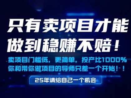 只有卖项目才能做到稳挣不赔，门槛低，更简单，你也可以年入百个W【揭秘】-hcnxn