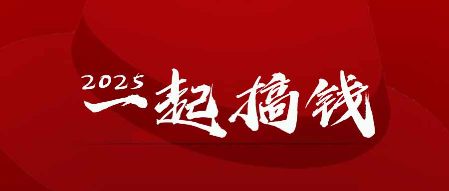2025年，请“不择手段”去搞钱!-hcnxn