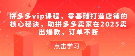 拼多多vip课程，零基础打造店铺的核心秘诀，助拼多多卖家在2025卖出爆款，订单不断-hcnxn