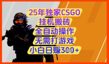 25年独家CSGO挂G搬砖，全自动操作，无需打游戏，小白日入3张+【揭秘】-hcnxn