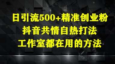 日引流500+精准创业粉，抖音共情自热打法，工作室都在用的方法-hcnxn
