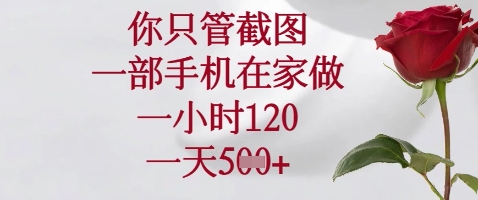 你只管截图，一部手机在家做，苹果安卓都可以，一小时120，一天5张+【揭秘】-hcnxn