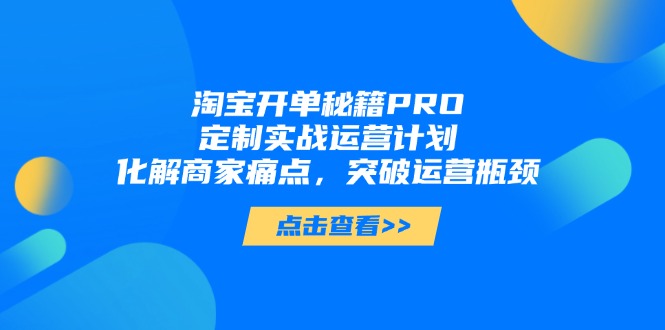 淘宝开单秘籍PRO，定制实战运营计划，化解商家痛点，突破运营瓶颈-hcnxn