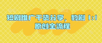 短剧推广干货分享，豹剧 1:1原创全流程-hcnxn