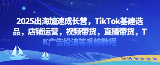 2025出海加速成长营，TikTok基建选品，店铺运营，视频带货，直播带货，TK广告投流等系统教程-hcnxn