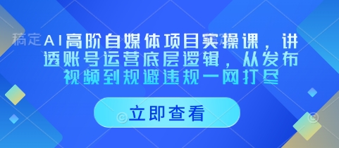 AI高阶自媒体项目实操课，讲透账号运营底层逻辑，从发布视频到规避违规一网打尽-hcnxn