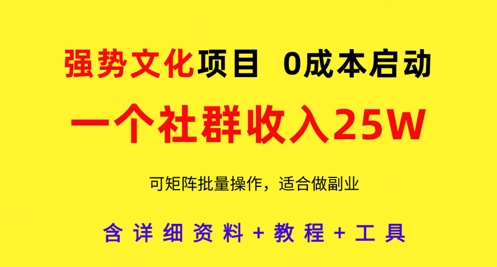 强势文化项目，一个社群收入25个W，0成本启动，可矩阵批量操作，原创详细实操教程-hcnxn